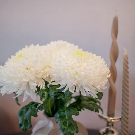 Castle&river Luxe-vydrica Lägenhet *